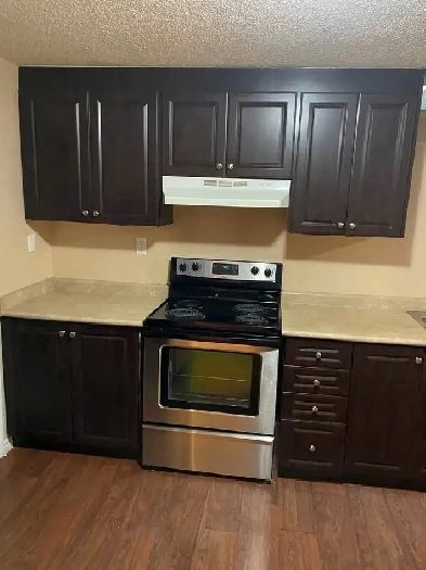 ONE BEDROOM BASEMENT APARTMENT- MISSISSAUGA