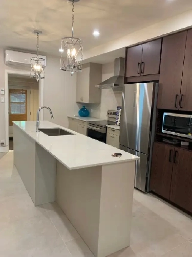 1St Floor 4 1/2 renovated with backyard/parking available