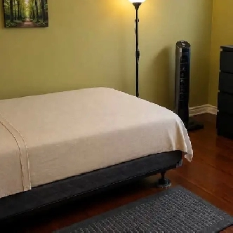 3-Rooms-20min/Carleton-Room w/BATH-Bank/Walkley-VIDEO's