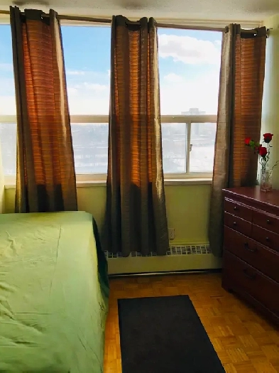 1 BRIGHT COZY ROOM for RENT in -(2 Bedrm Apartment) - Finch Ave