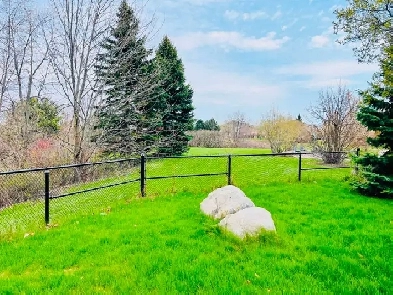 2 Bedroom Basement for Rent in Prime Location of Brampton