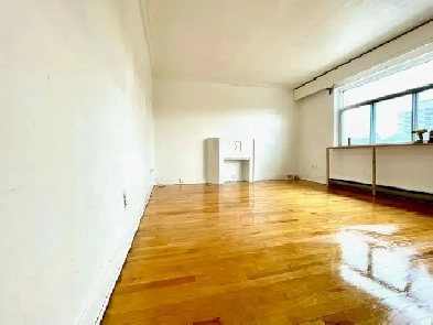 One rooms in a shared 6 ½ unit near Metros available now