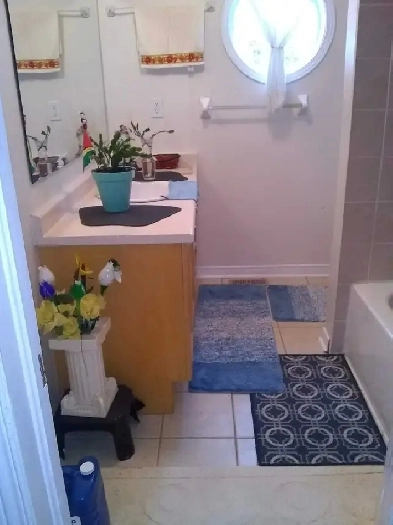 Renting 1 bedroom basement