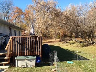 Country Living in the City