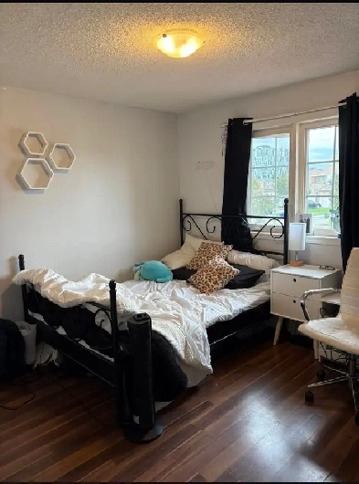 Looking to rent
