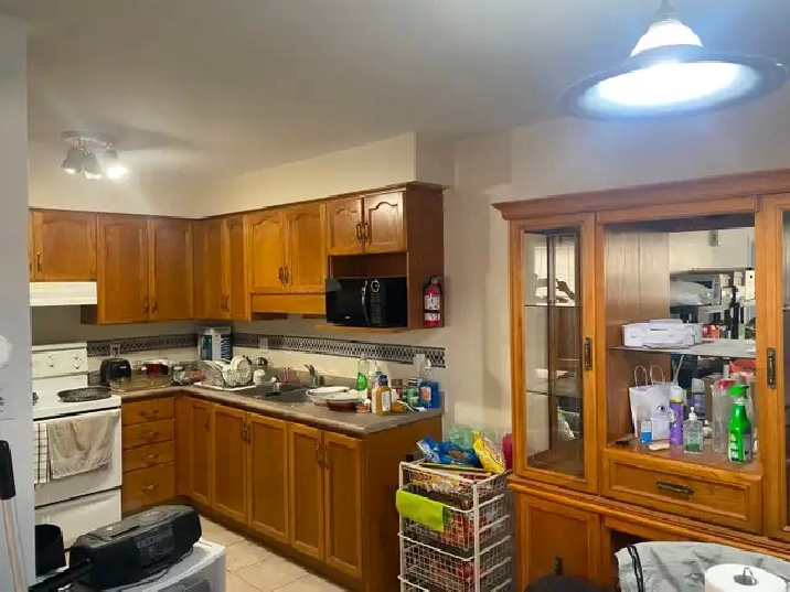 Two Bedroom Bright Basement Apartment