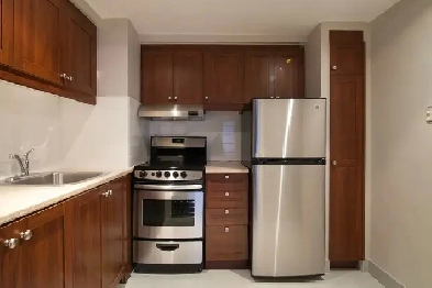 one bedroom apartment downtown near McGill - ID 1112