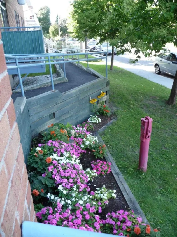 Photo 5