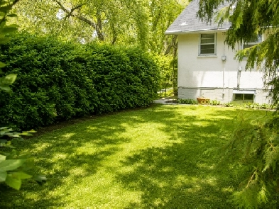 Character Home in Norwood Flats | Pet Friendly | $1,500/month