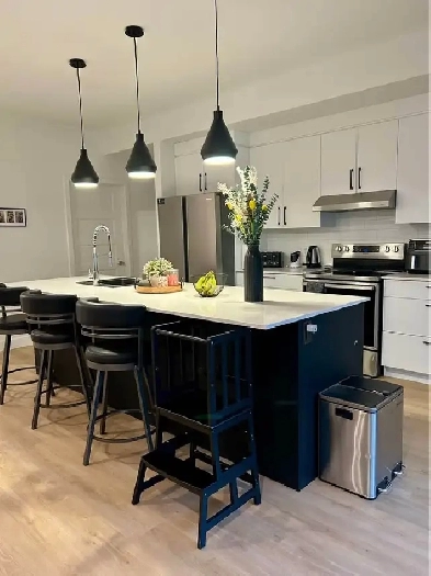 Appartement de 3 chambres et 1 salle de bain (1,750$/mois)