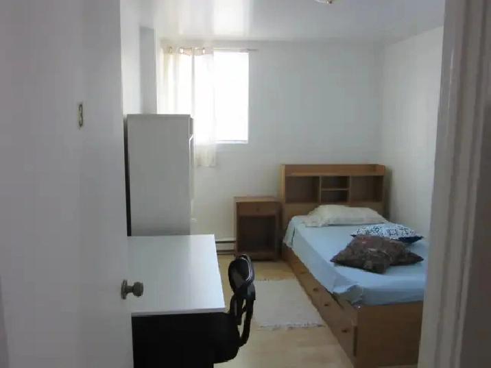 Photo 5
