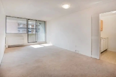 Centretown Nov.1st - 1  bedroom $1599