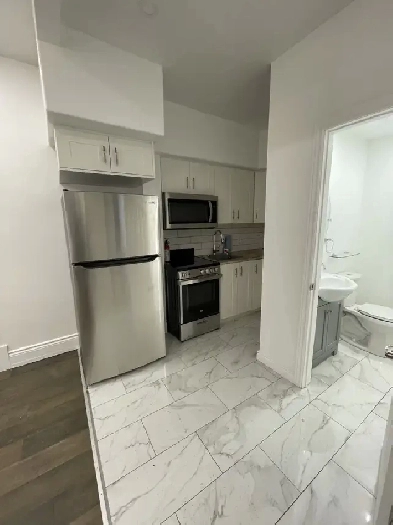Fully Renovated Bachelor -Centretown- Available October 1st!