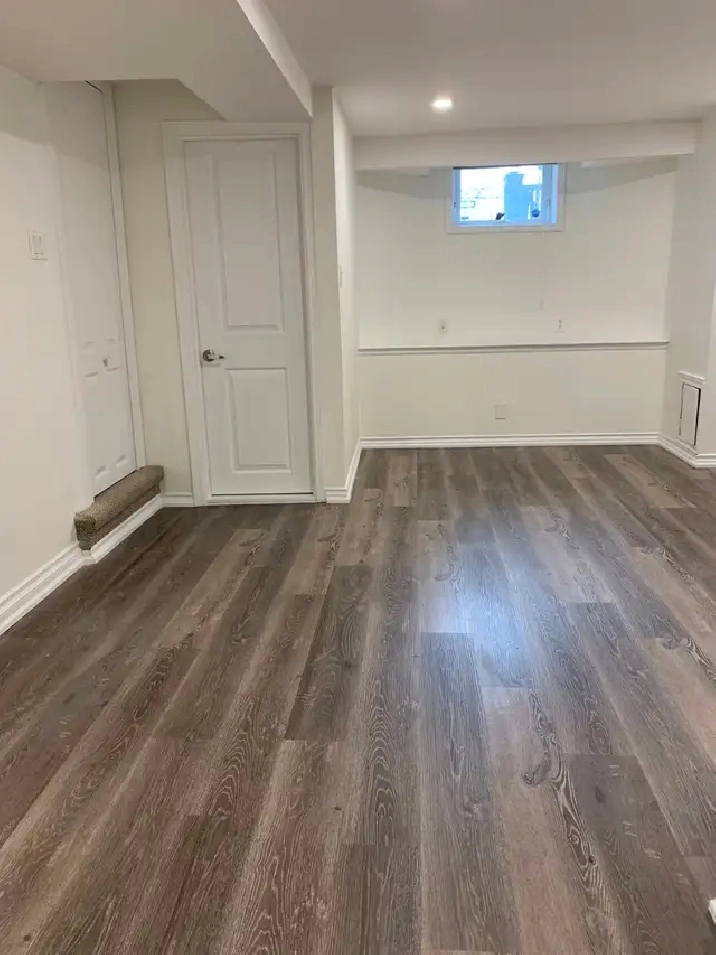 Renovated Large 1-Bed, 1 Bath Basement Apartment - Moss Park