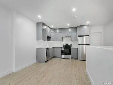 Grand 4 1/2 au coeur du Plateau Mont-Royal