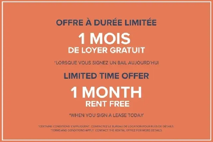 Dominik Apartments - Bachelor available at 1255 rue Saint-Domini