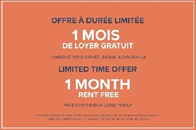 Dominik Apartments - Bachelor available at 1255 rue Saint-Domini