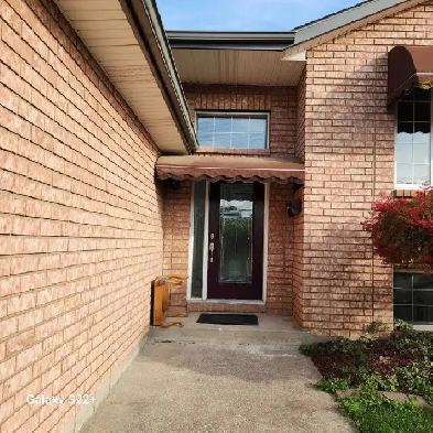 Newly Remodeled Room for Rent – Working Male or Retiree Welcome