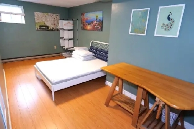 A Large,  private, half-basement room for rent