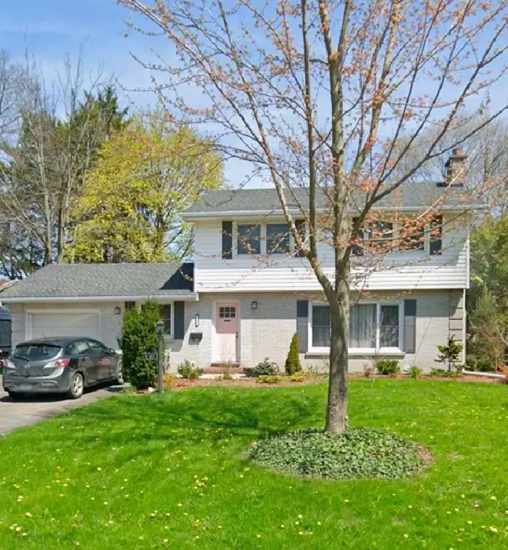 Room for Rent - Near Western