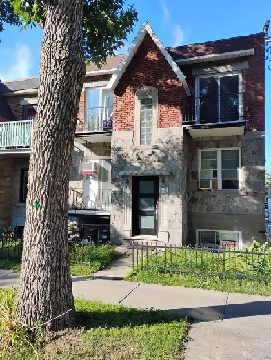 3 ½ entièrement rénové, Demi-sous-sol Rosemont / 24E
