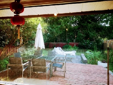 1 bed room at Hwy404 & Steeles