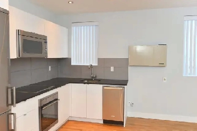 renovated one bedroom, Church and Wellesley - ID 1030
