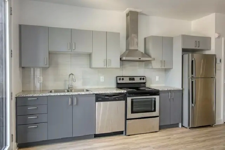 1 bed apartment corner Darlington-Barclay near UdeM - ID 4124