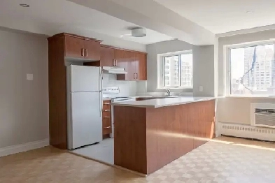 modern 1-bedroom apartment for rent, near Peel metro - ID 1362