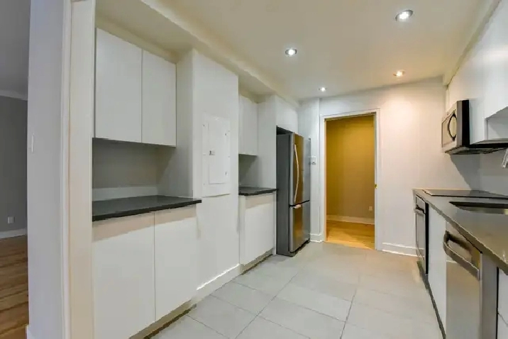 fully renovated two-bedroom apartment near McGill - ID 4018