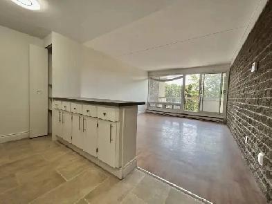 Appartement Loft studio à louer Montcalm / Saint-Sacrement juill