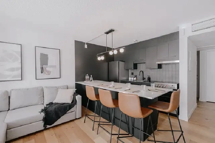 Loft entièrement meublé à louer Saint-Jean-Baptiste juillet 2026