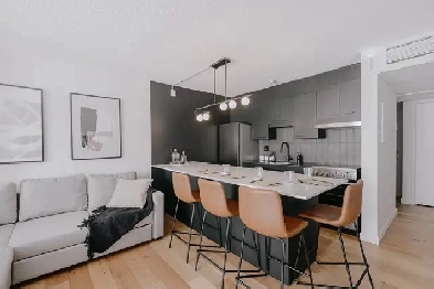 Loft entièrement meublé à louer Saint-Jean-Baptiste juillet 2026