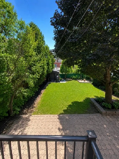 À louer  4 ½ - Rosemont Montréal - 1750$