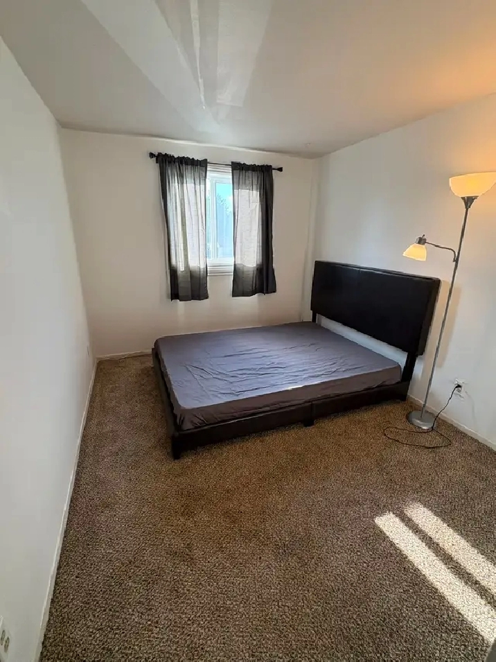 2 Bedroom Apartment to SHARE with 1 person