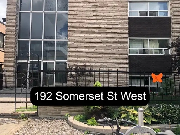 Centretown Basement Bachelor/Studio for Rent (192 Somerset St W)
