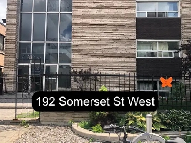 Centretown Basement Bachelor/Studio for Rent (192 Somerset St W)