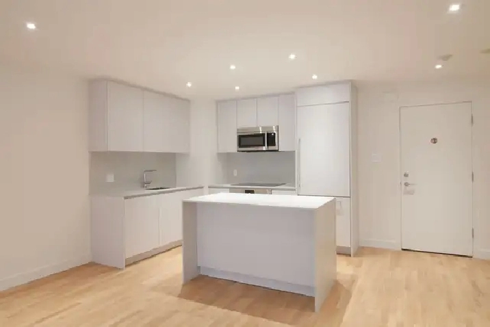 Downtown 2 bed apartment near McGill - ID 2818
