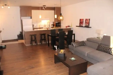 9771 Notre - Dame Ouest 3 1/2 1er Septreemb 2026