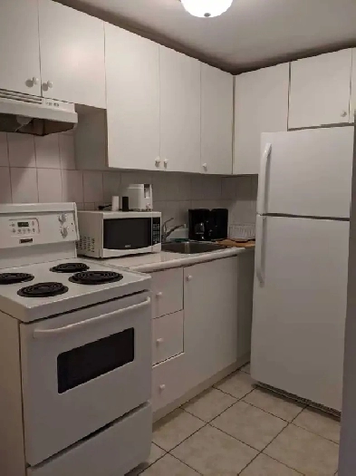 Large One Bedroom Apartment with a Loft in Downtown Toronto