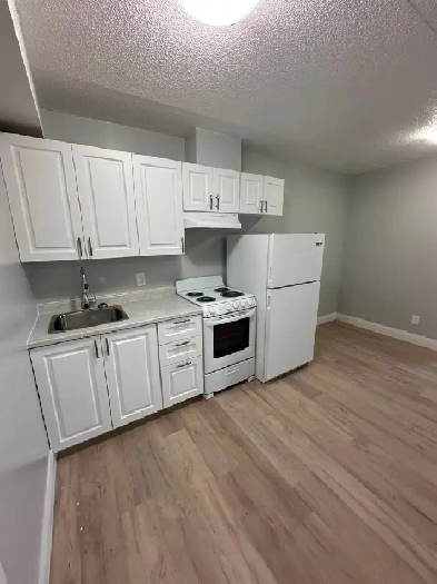 Newly renovated One Bedroom in Minnow Lake
