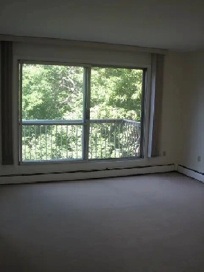 Large Reno’d 1 Bedroom, very Clean, NAIT area, quiet building
