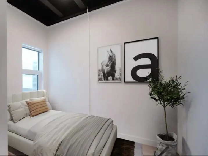 1 Bedroom Apartment! Move In Ready!