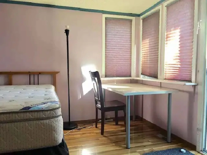 Nearby C-train station and UC Studio $980/month all- inclusive