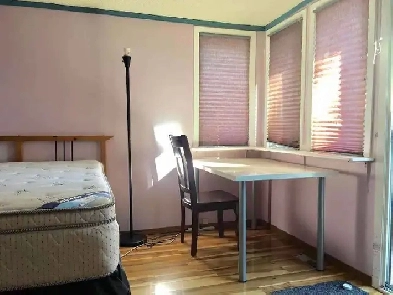 Nearby C-train station and UC Studio $980/month all- inclusive