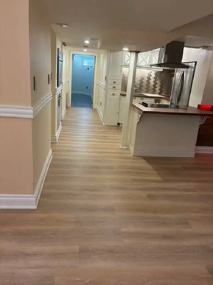 Renovated 1 Bedroom Basement Apartment