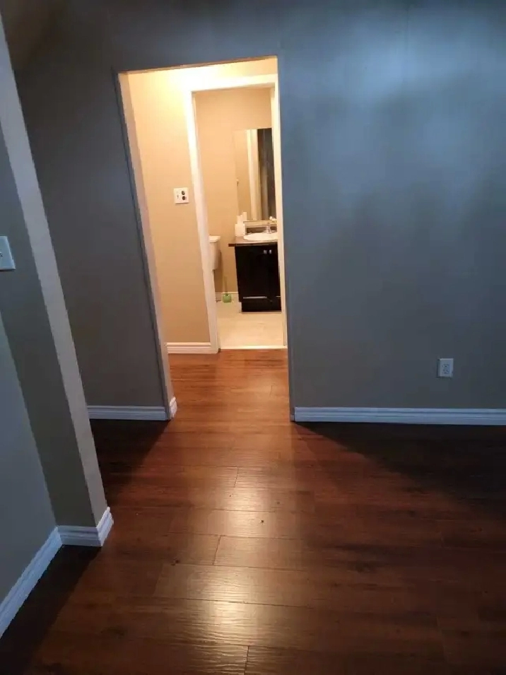 3 BEDROOM BASEMENT IN BRAMPTON
