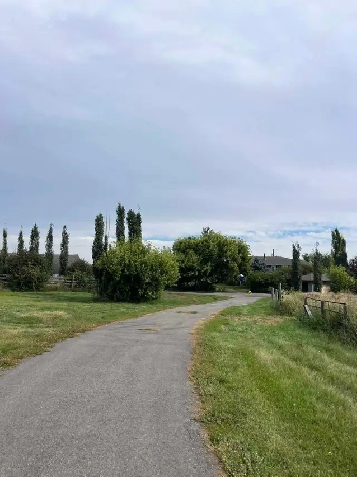 32 Acres - Acreage For Rent! Bungalow, shop, dugout.
