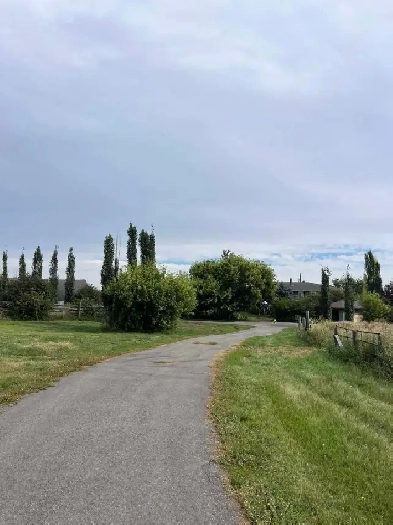 32 Acres - Acreage For Rent! Bungalow, shop, dugout.