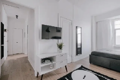 Loft studio entièrement meublé à louer Montcalm / Saint-Sacremen